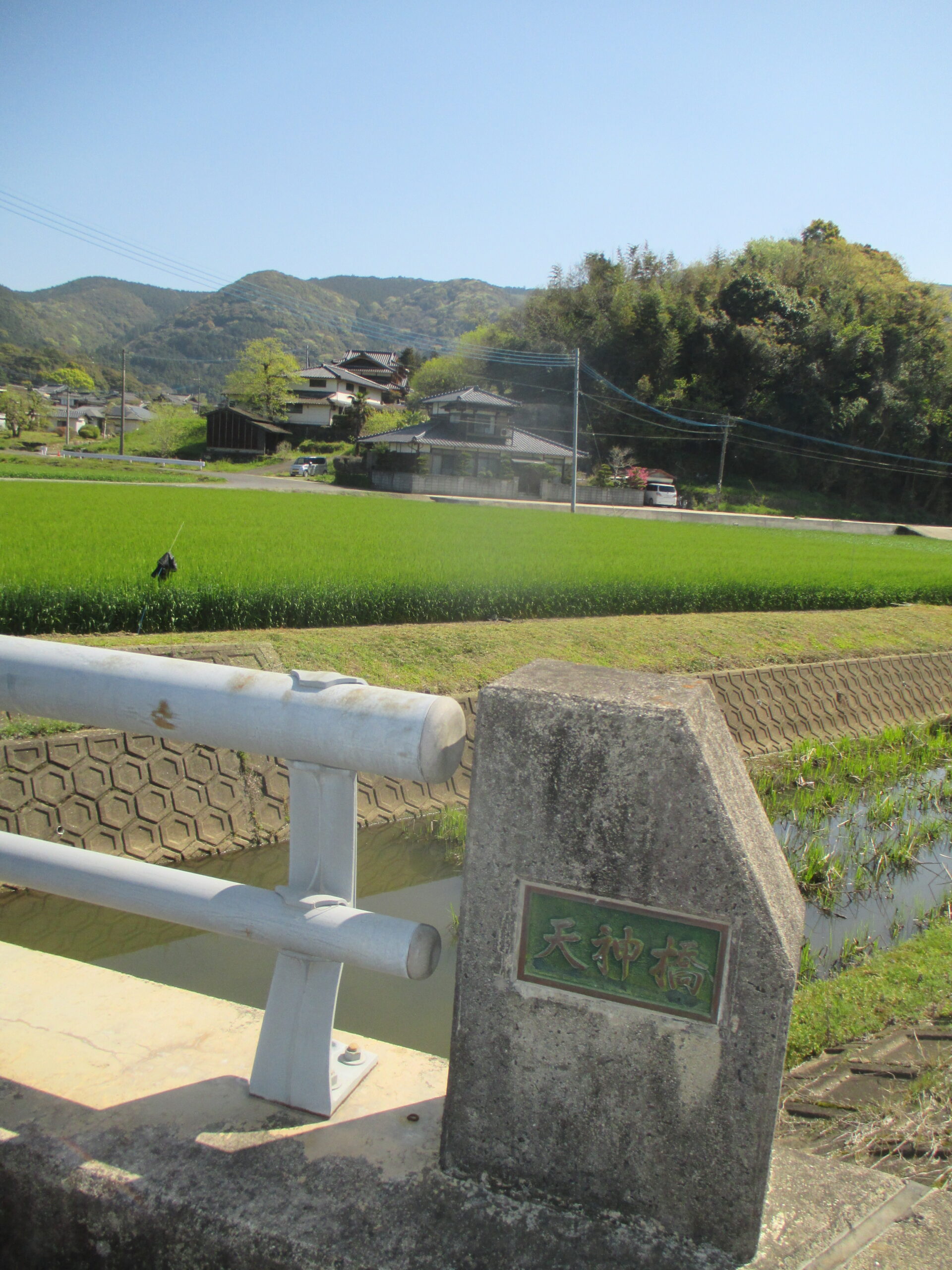写真④ 天神橋から権現山古墳群と南楢崎遺跡