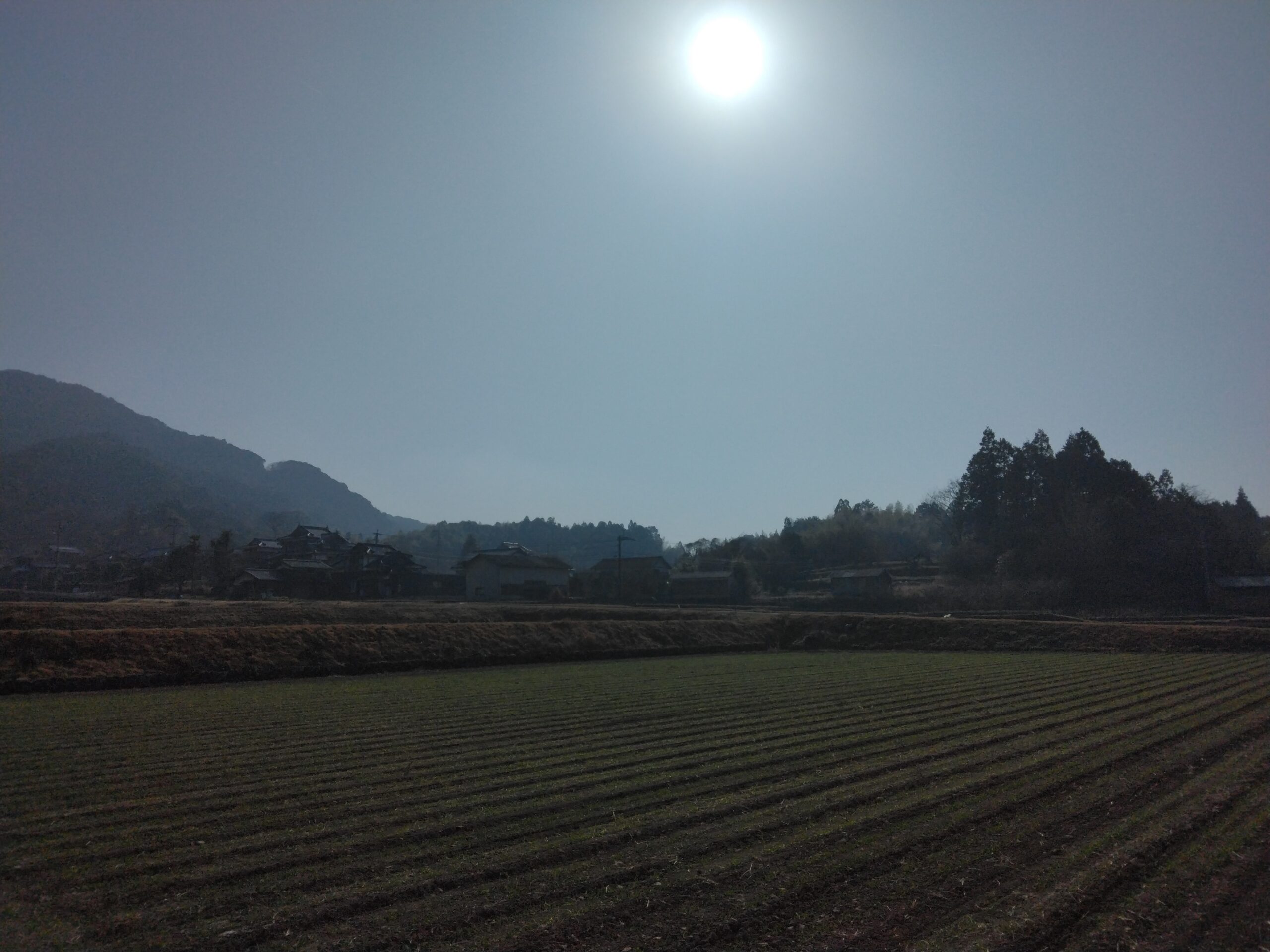写真⑤ 南楢崎古墳