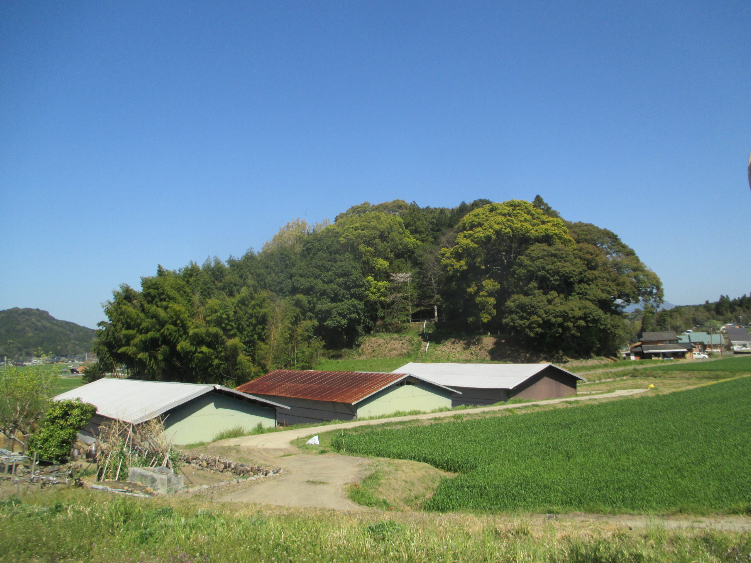 写真② 薬師山古墳南面