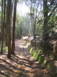 史跡 おつぼ山神籠石 第１土塁